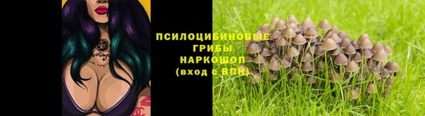 шишки Александровское