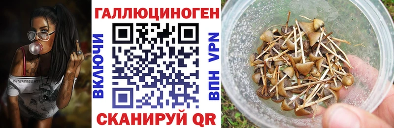 Псилоцибиновые грибы Psilocybine cubensis  Купить  Ряжск 